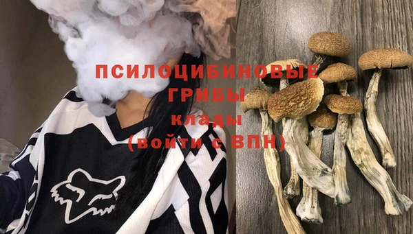 мет Арсеньев