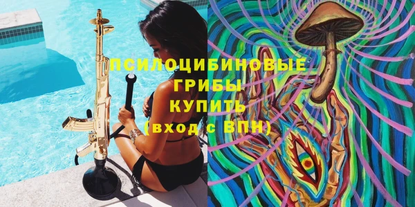мет Арсеньев